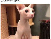 Nonna