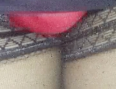 Tanyacd4hotcum69